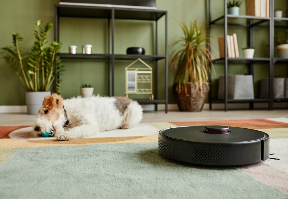 best small robot vacuum cleaner